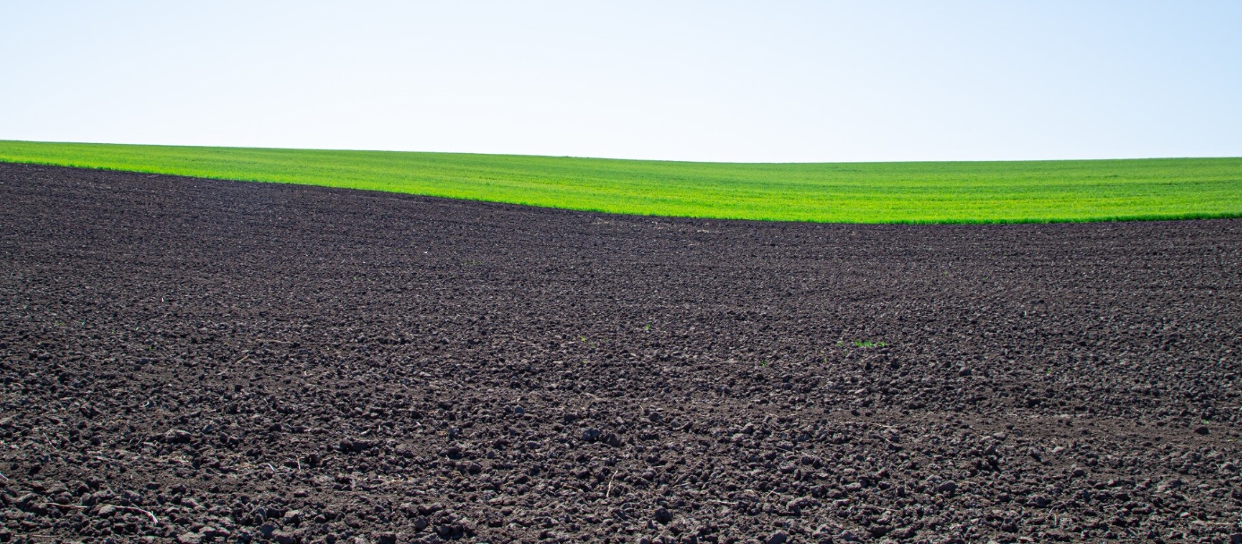 Протокол интеграции гумата калия в технологические карты агропредприятий