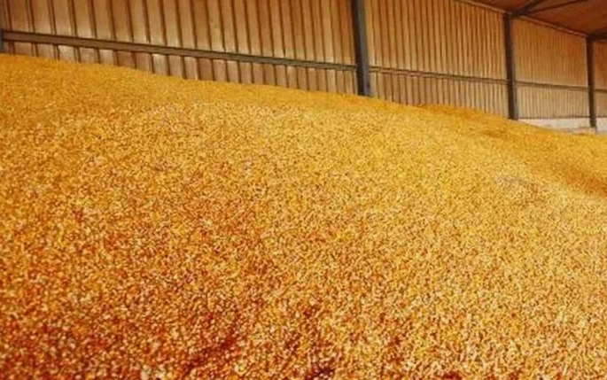 Самосогревание зерна: причины, виды и стратегия предотвращения