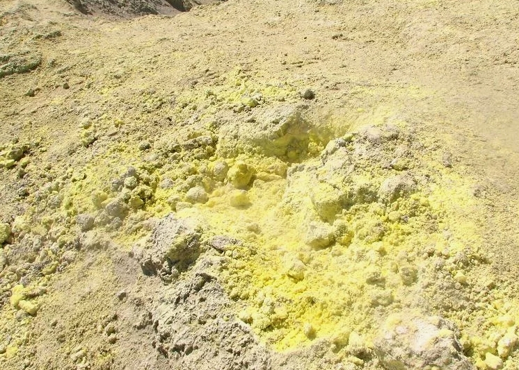 Дефицит серы как скрытый фактор снижения урожайности