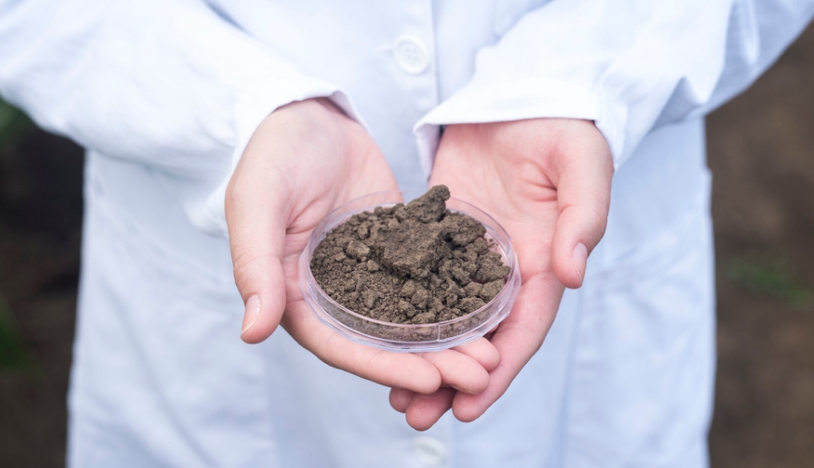Агрохимический анализ почвы