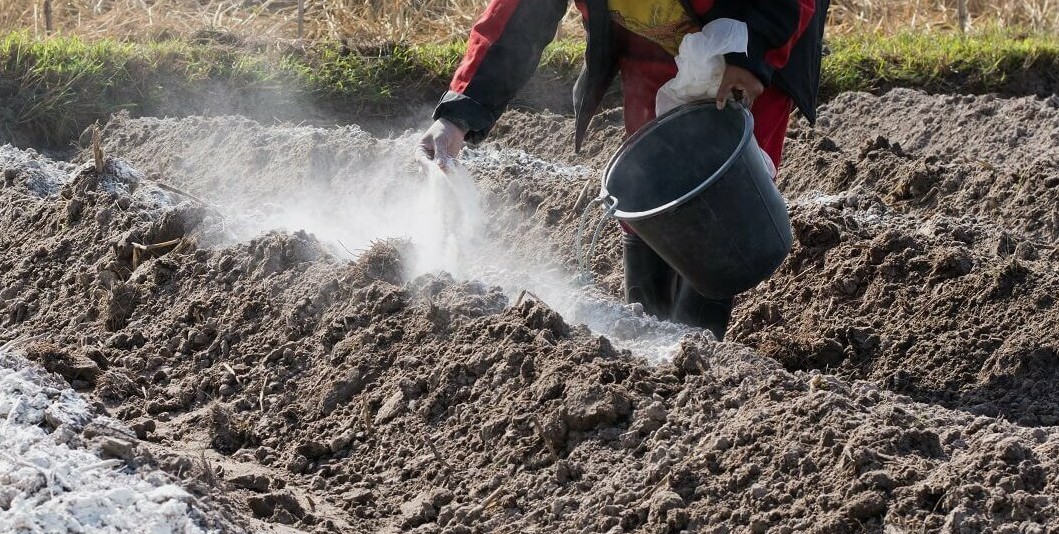 Гипсование почв - когда это необходимо?