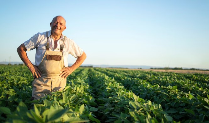 Прецизионное земледелие: технологии в жизни фермера